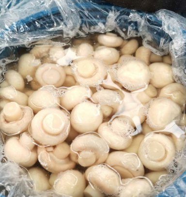 فطر شامبينيون كامل محفوظ