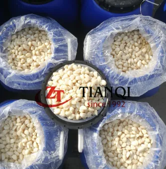 فص ثوم في محلول ملحي في براميل