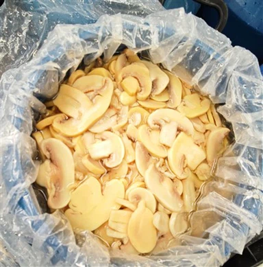 طبل التعبئة زر أبيض الفطر في محلول ملحي