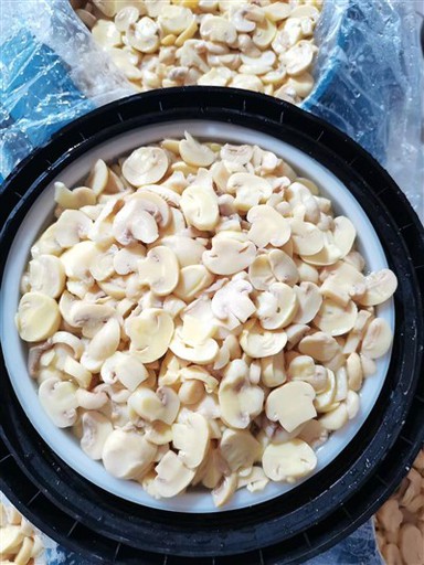 فطر كامل طازج في SO2 في أسطوانة بلاستيكية