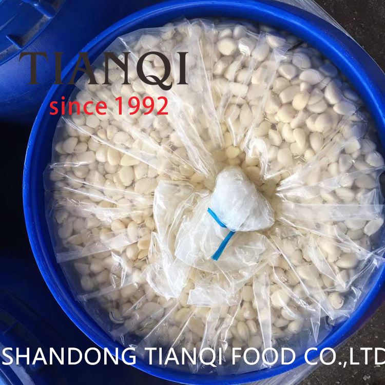 Drum packing peeled white garlic in drums