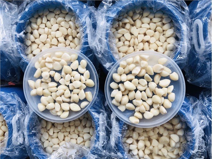 M white garlic in brine in drums