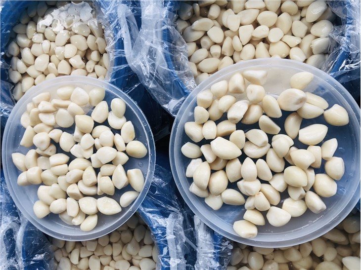 Good quality white garlic cloves in brine in drums