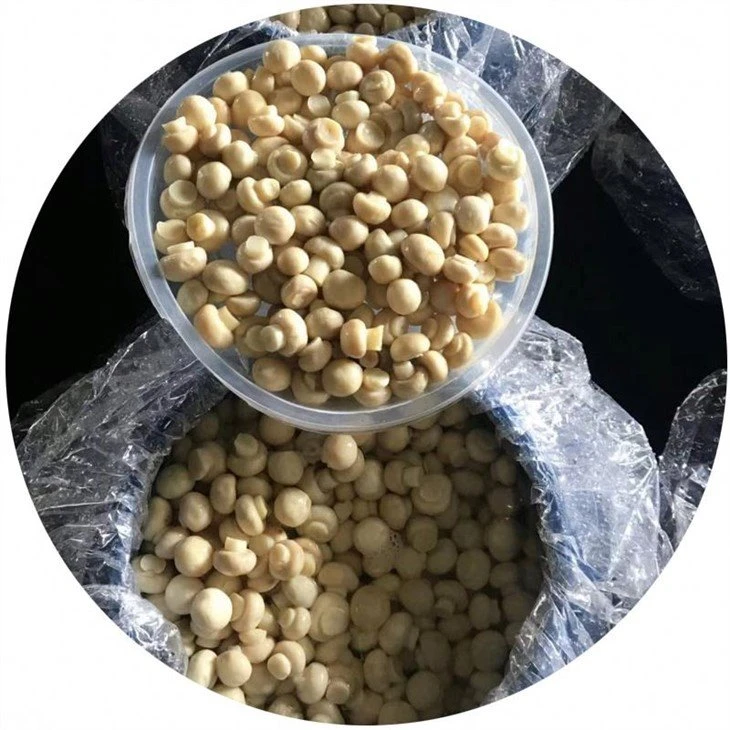 Whole/PNS white mushroom in brine in plastic drums