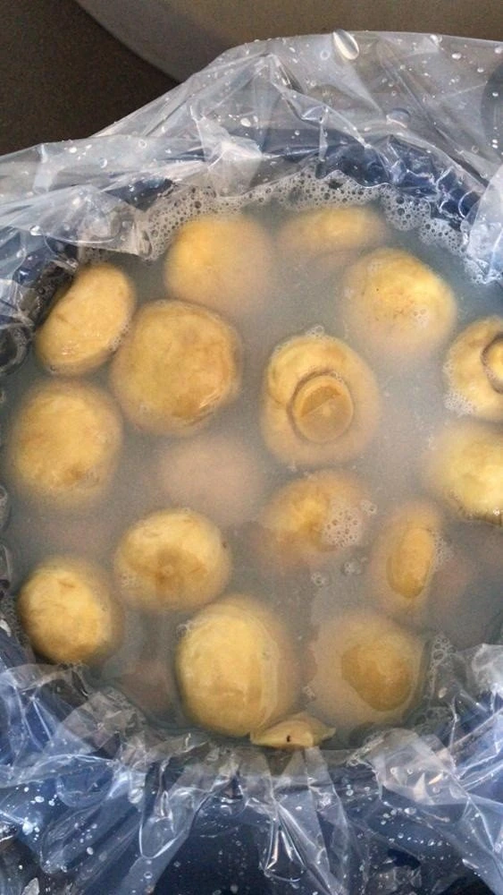 Salted white mushroom in drums