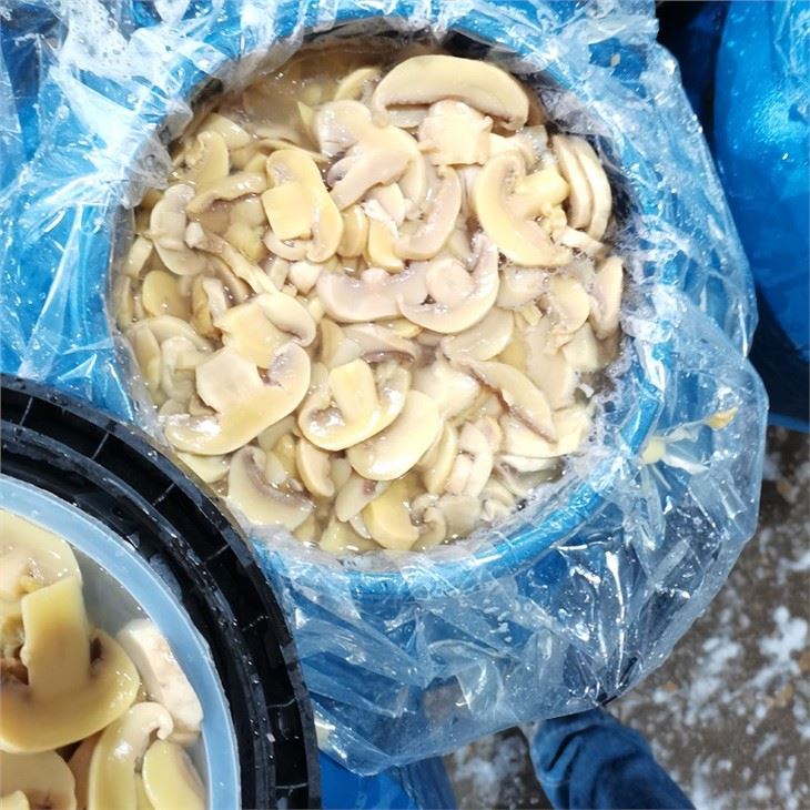 high quality sliced champignon mushroom in salted water in drums
