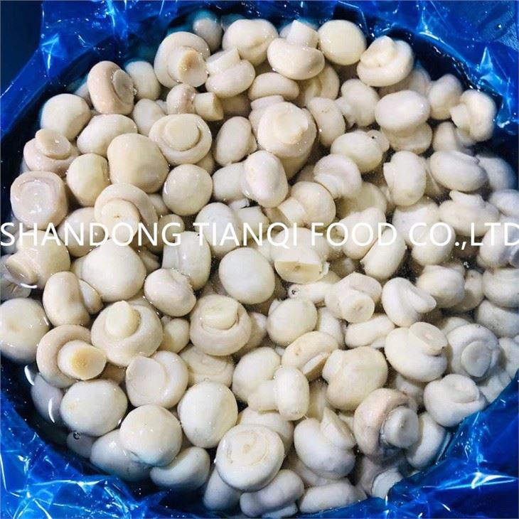 Fresh High Quality Mushroom in Brine in Plastic Drums