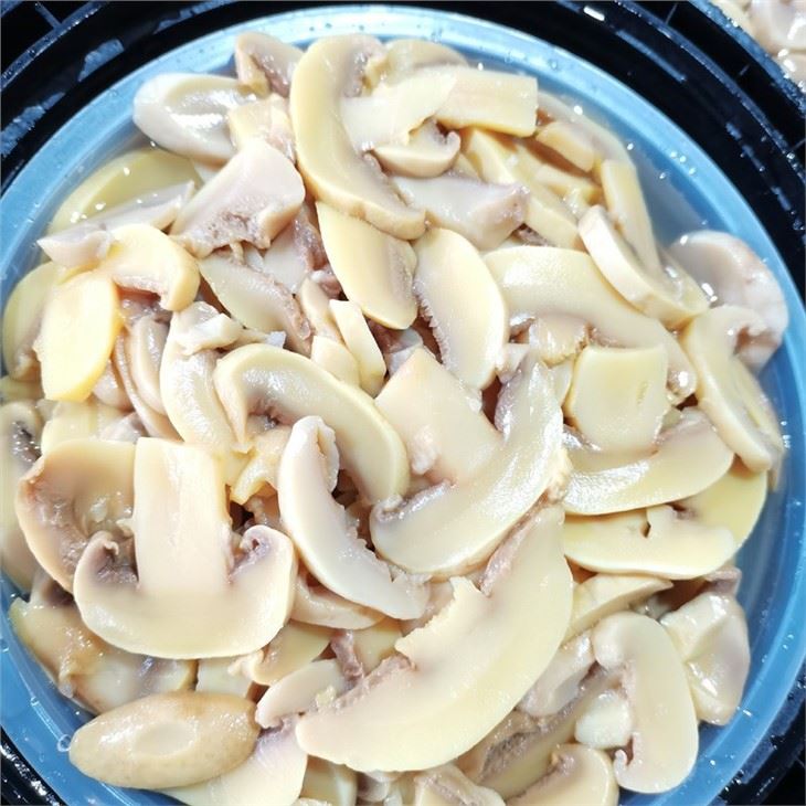 Factory price white button mushroom in brine in drums