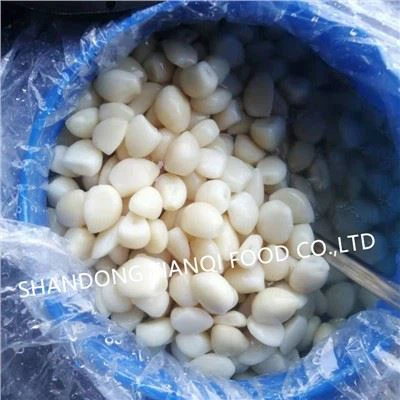 الثوم الأبيض في محلول ملحي في الطبول