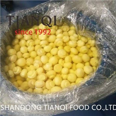 فطر كامل في SO2 في براميل بلاستيكية