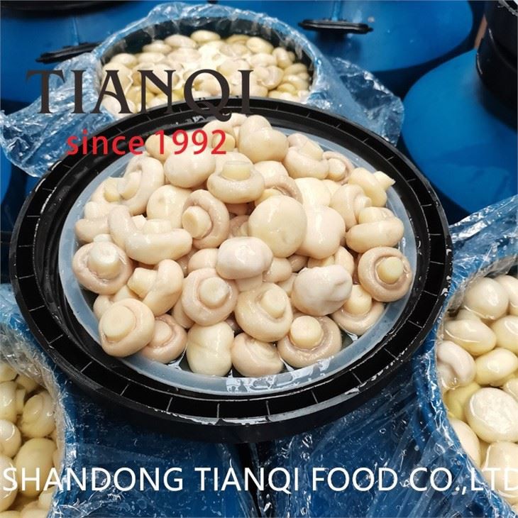 white mushroom champignon pieces PNS in brine
